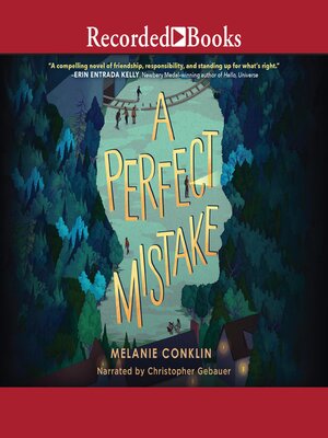 cover image of A Perfect Mistake